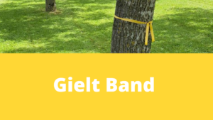 Gielt Band