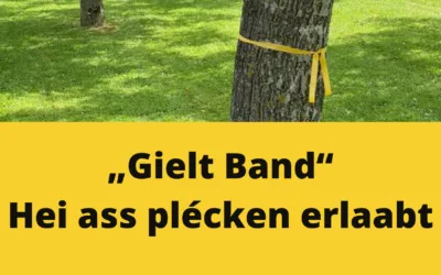 Gielt Band