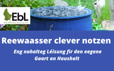 Reewaasser clever notzen