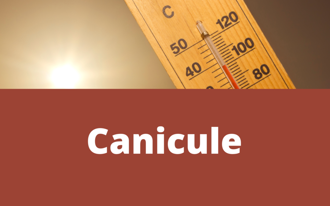 Attention – Alerte canicule