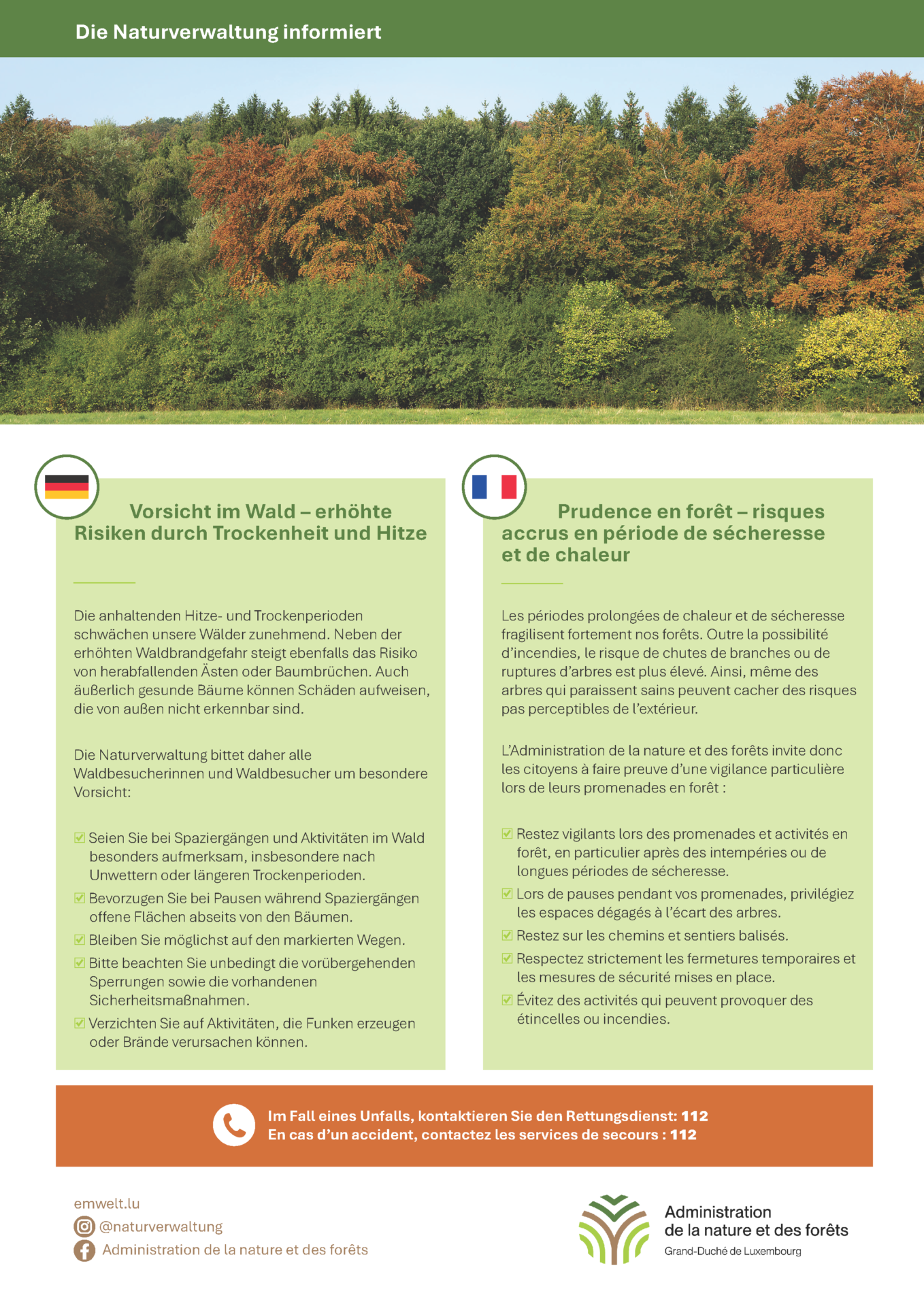 2026-trockenheit-wald-article-v5