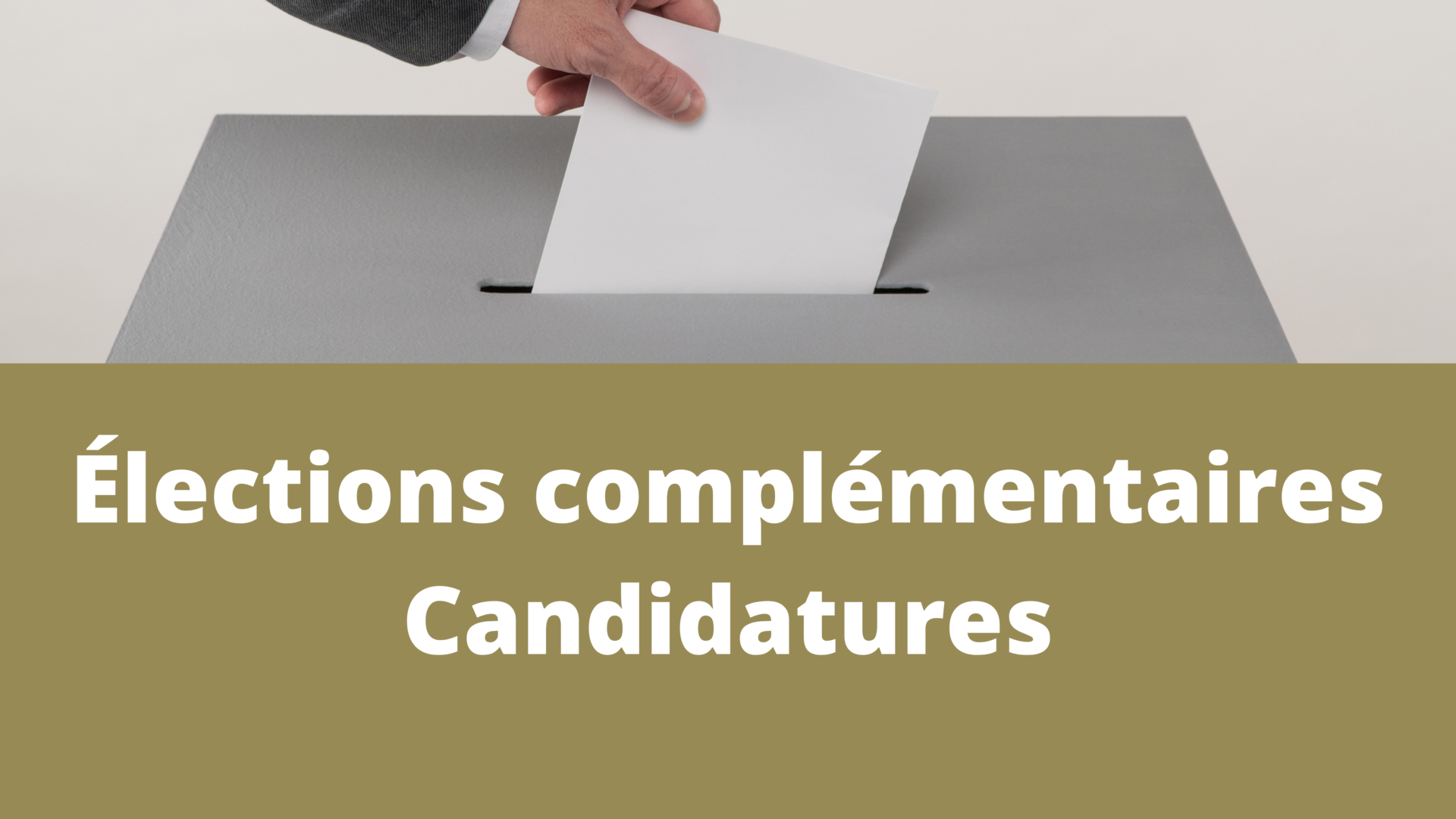 Candidatures
