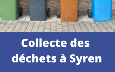 Collecte des déchets à Syren