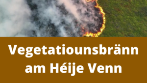 Vegetatiounsbränn am Héije Venn