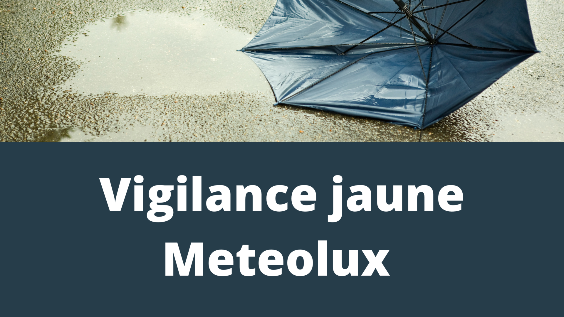 Vigilance Jaune Meteolux
